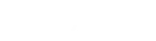 princess-vector